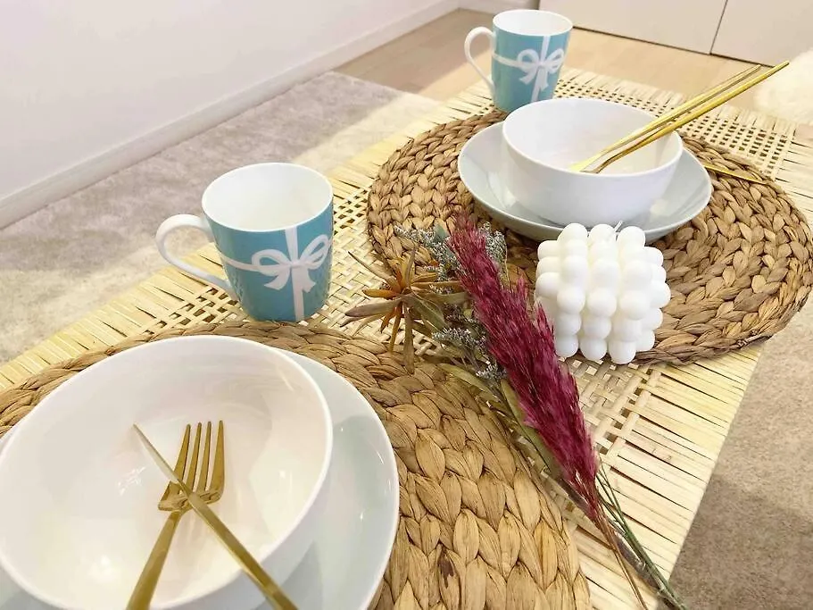 Open Sale: Spacious Namba Apartment near Dotonbori Osaka